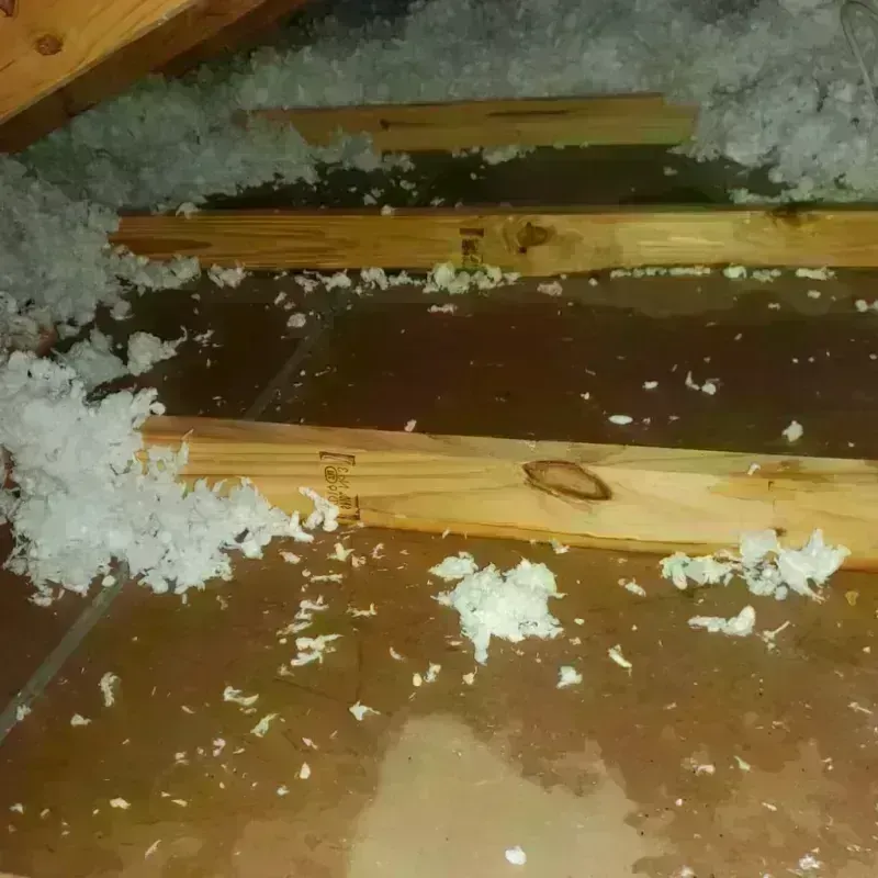 Attic Water Damage in Raoul, GA