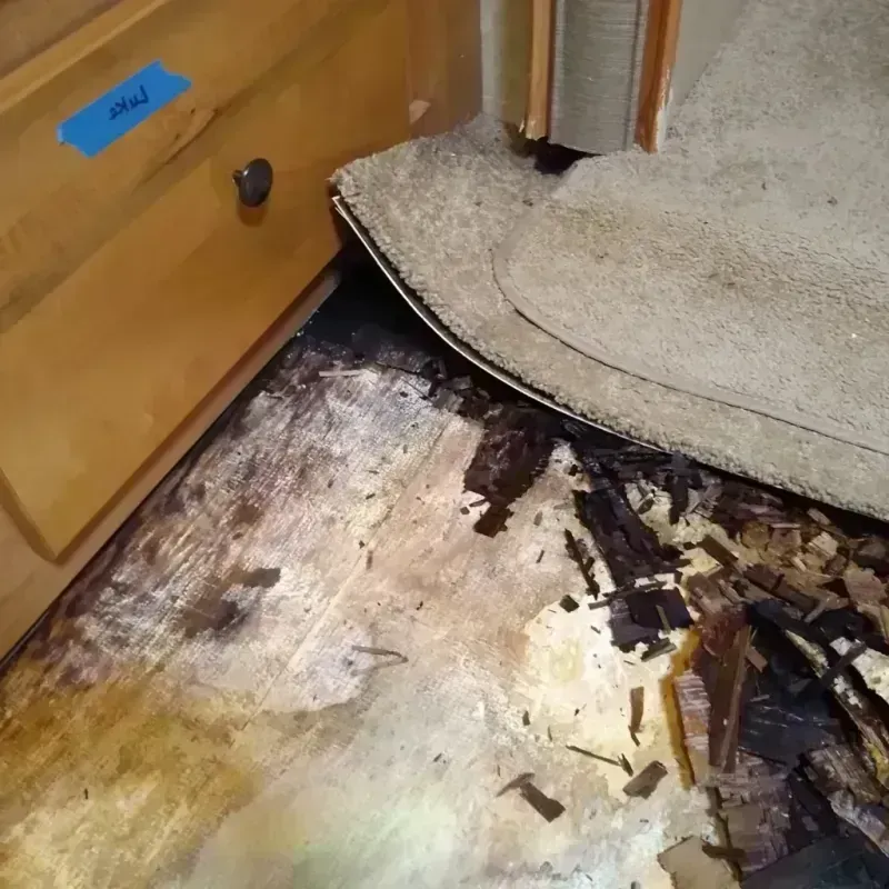 Wood Floor Water Damage in Raoul, GA